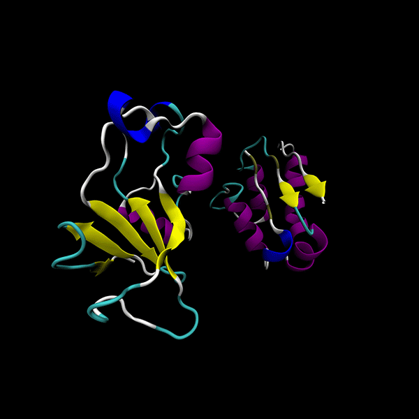 protein protein docking